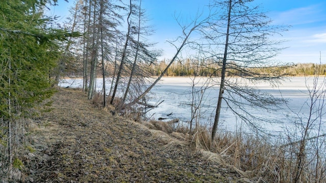 45570 Star Lake Rd, Marcell, MN 56657 - property view of water