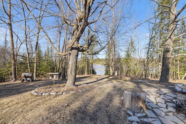 45570 Star Lake Rd, Marcell, MN 56657 - view of yard featuring a wooded view