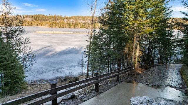 45570 Star Lake Rd, Marcell, MN 56657 - view of yard with a wooded view