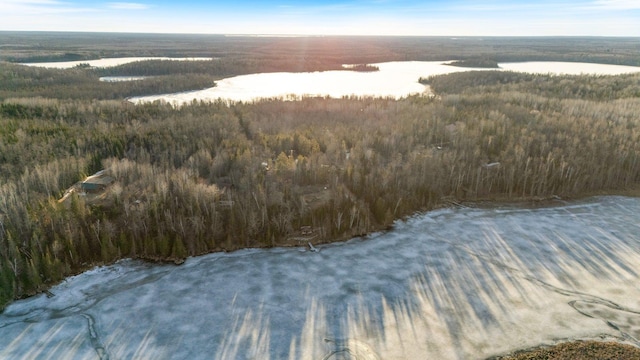 45570 Star Lake Rd, Marcell, MN 56657 - aerial view with a water view and a view of trees