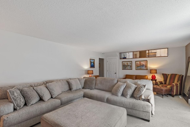 2915 Alvarado Ln N, Plymouth, MN 55447 - living area featuring light carpet and a textured ceiling