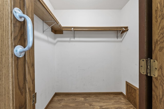 walk in closet featuring wood finished floors