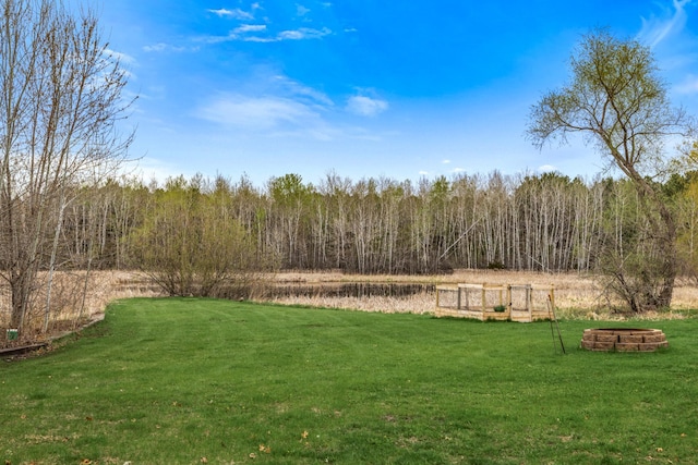 view of yard with a wooded view
