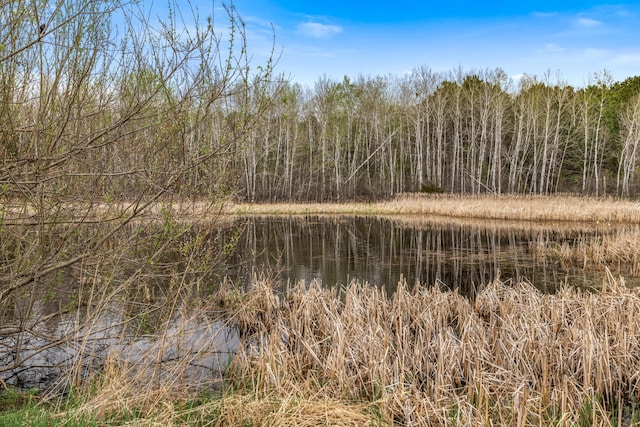 view of landscape featuring a water view