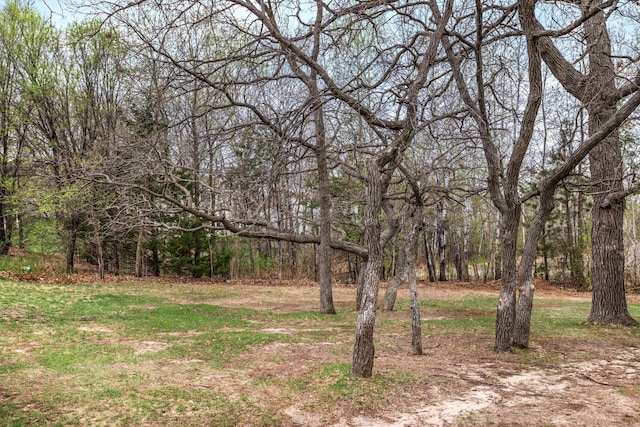 view of yard with a forest view