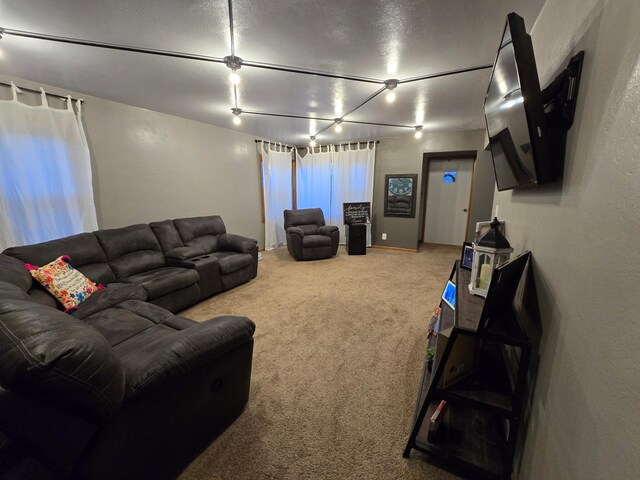 1014 3rd Ave SW, Pipestone, MN 56164 - living area featuring carpet floors