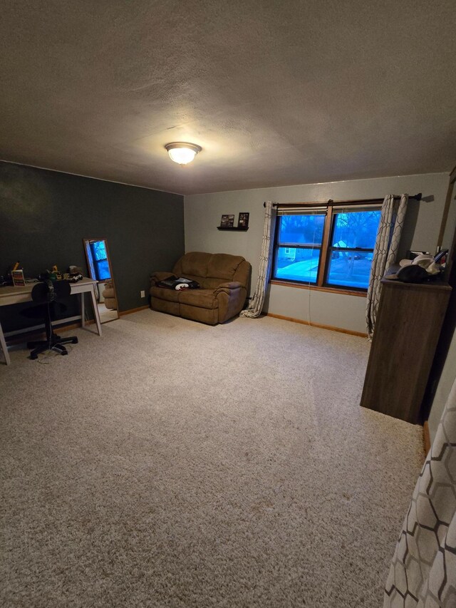 1014 3rd Ave SW, Pipestone, MN 56164 - living room with a textured ceiling and carpet flooring