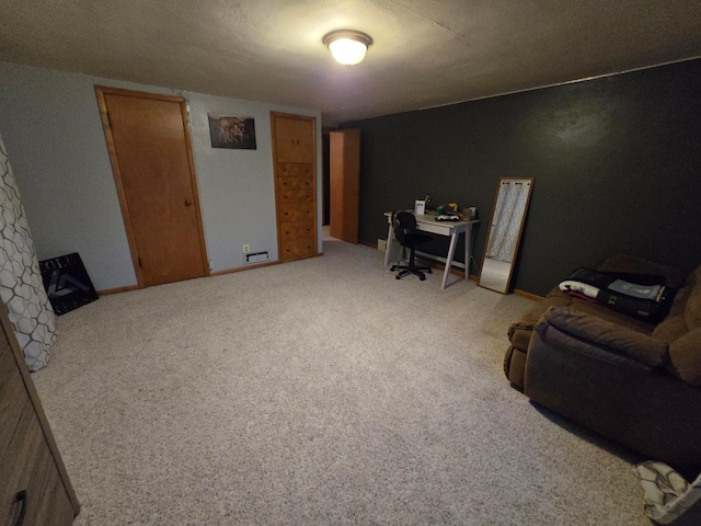 1014 3rd Ave SW, Pipestone, MN 56164 - office featuring carpet flooring and baseboards