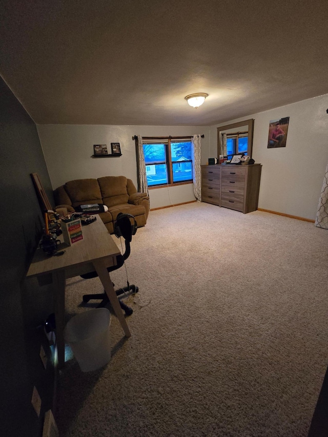 1014 3rd Ave SW, Pipestone, MN 56164 - carpeted living room with baseboards