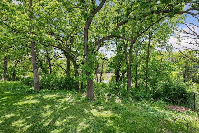 9017 31st St, Saint Louis Park, MN 55426 - view of wooded area