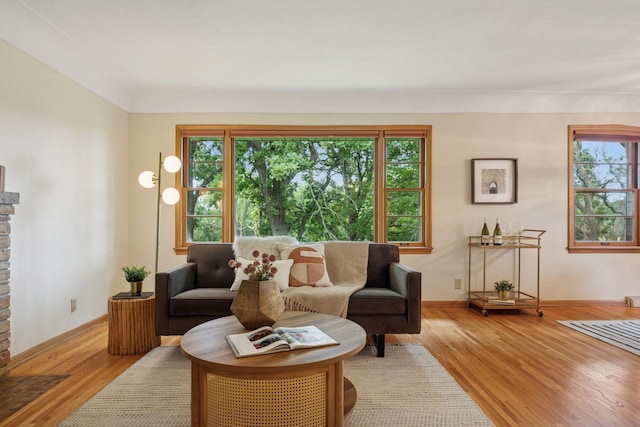 9017 31st St, Saint Louis Park, MN 55426 - living area with light wood finished floors and plenty of natural light