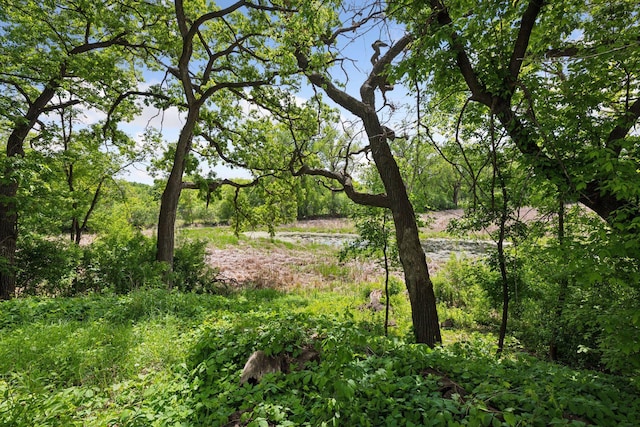 9017 31st St, Saint Louis Park, MN 55426 - view of local wilderness