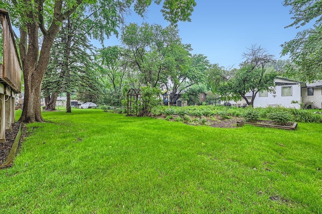 211 Mckinley St, Anoka, MN 55303 - view of grassy yard