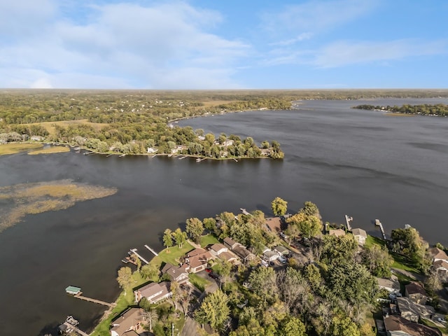 1867 Beach Dr SE, Forest Lake, MN 55025 - aerial overview of property's location with a large body of water and nearby suburban area
