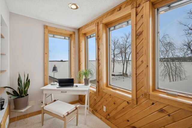 1867 Beach Dr SE, Forest Lake, MN 55025 - office space with baseboards, plenty of natural light, and a textured ceiling