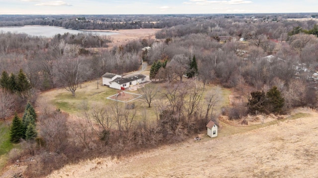 34115 Malmberg Ave, Chisago Lake Twp, MN 55045 - aerial overview of property's location with rural landscape and a nearby body of water
