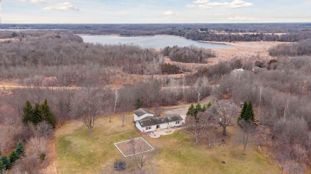 34115 Malmberg Ave, Chisago Lake Twp, MN 55045 - aerial overview of property's location featuring a large body of water and a forest