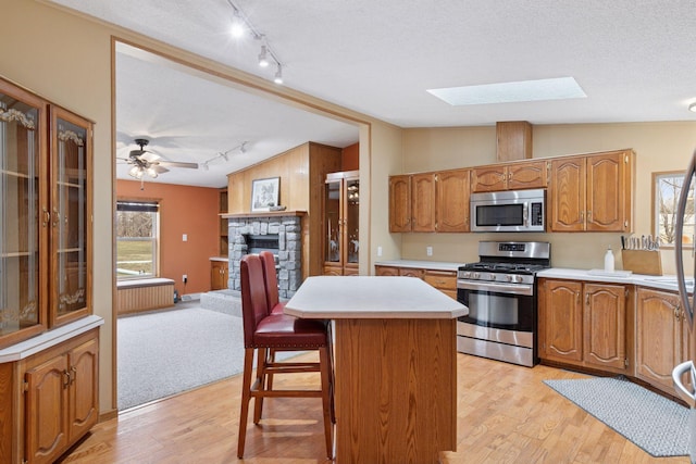 34115 Malmberg Ave, Chisago Lake Twp, MN 55045 - kitchen featuring appliances with stainless steel finishes, rail lighting, a skylight, a fireplace, and light wood-style flooring