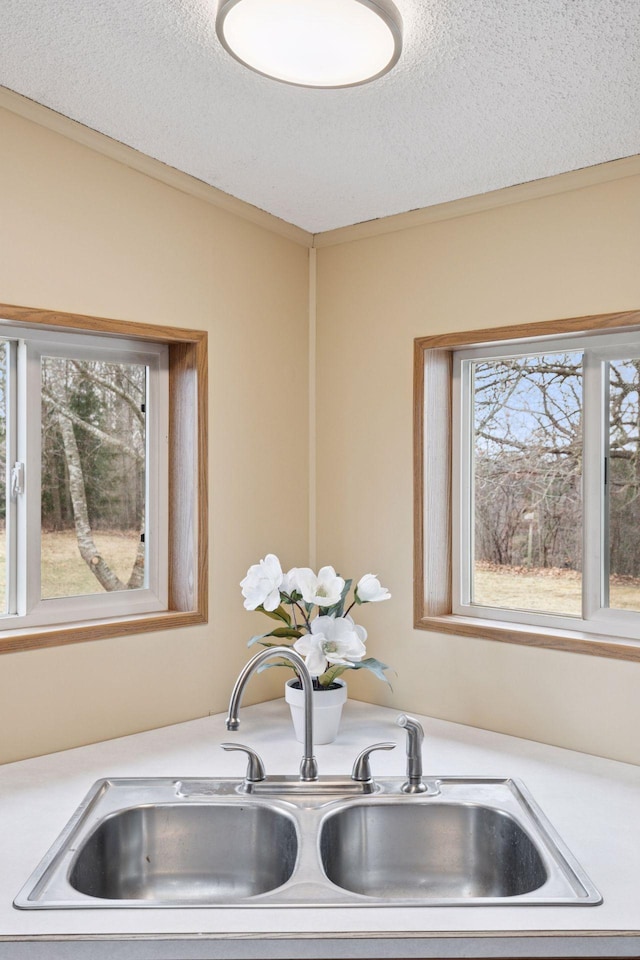 34115 Malmberg Ave, Chisago Lake Twp, MN 55045 - kitchen view of light countertops and a textured ceiling