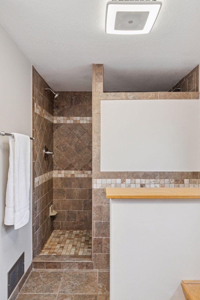 34115 Malmberg Ave, Chisago Lake Twp, MN 55045 - bathroom with tiled shower