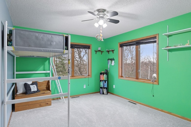34115 Malmberg Ave, Chisago Lake Twp, MN 55045 - carpeted bedroom featuring multiple windows, a textured ceiling, and ceiling fan