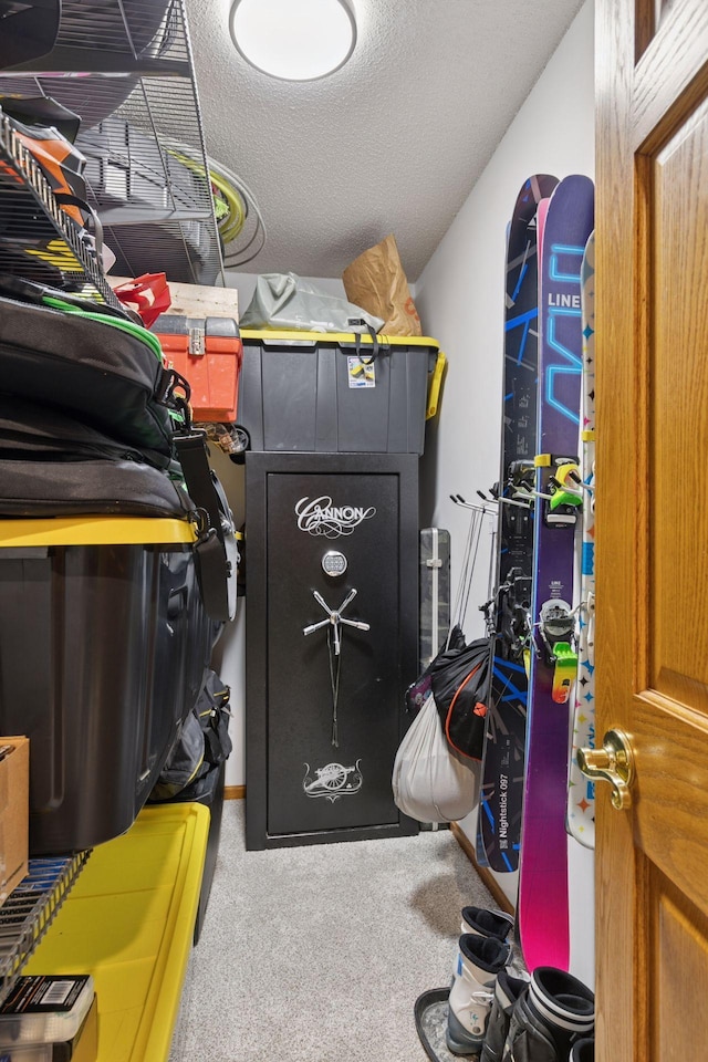 34115 Malmberg Ave, Chisago Lake Twp, MN 55045 - view of storage room