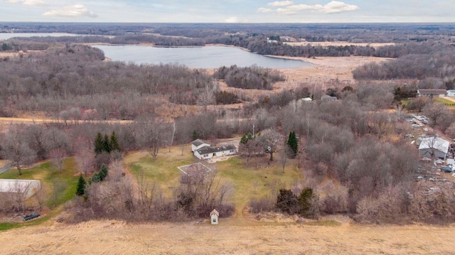 34115 Malmberg Ave, Chisago Lake Twp, MN 55045 - aerial view of property's location with a nearby body of water