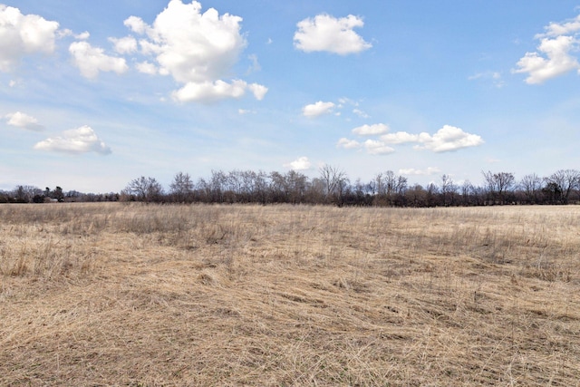 34115 Malmberg Ave, Chisago Lake Twp, MN 55045 - view of undeveloped land with rural landscape