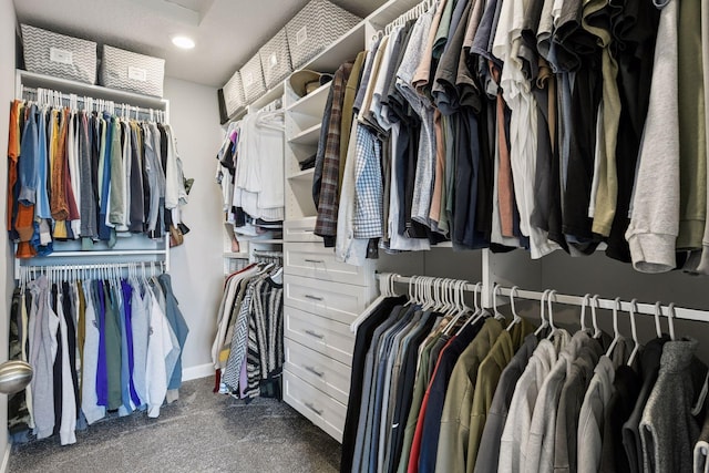 9444 Bridle Way, Victoria, MN 55386 - spacious closet featuring carpet