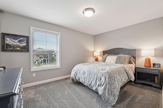 9444 Bridle Way, Victoria, MN 55386 - bedroom with dark carpet and baseboards