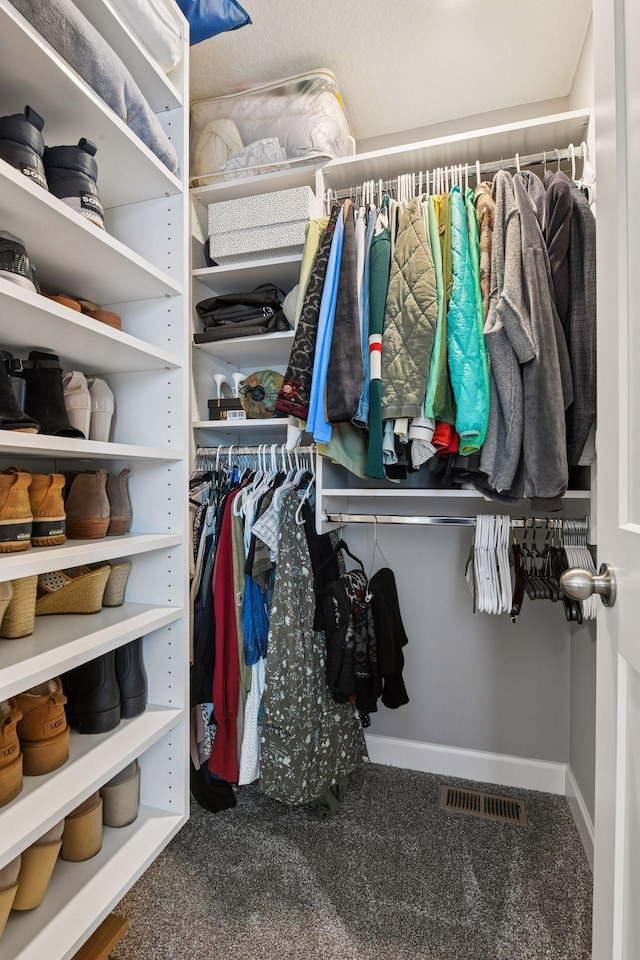 9444 Bridle Way, Victoria, MN 55386 - spacious closet with carpet