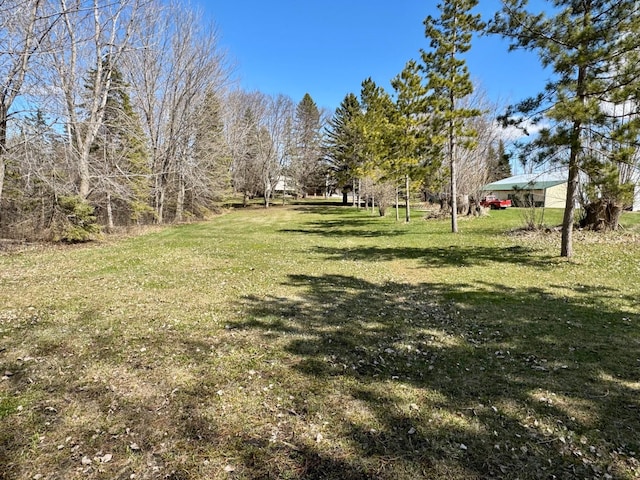 view of green lawn