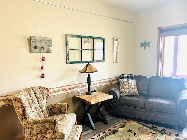 10822 Steamboat Loop NW, Walker, MN 56484 - living room featuring wood finished floors