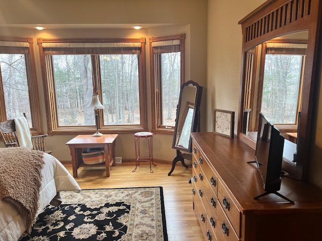 10822 Steamboat Loop NW, Walker, MN 56484 - bedroom with multiple windows and light wood-style floors