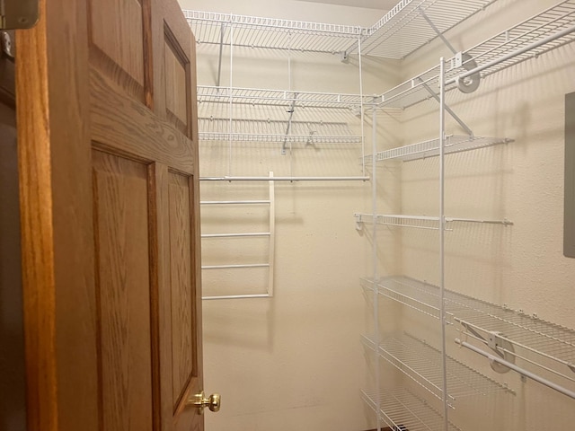 10822 Steamboat Loop NW, Walker, MN 56484 - view of spacious closet