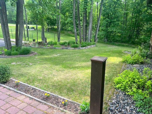 10822 Steamboat Loop NW, Walker, MN 56484 - view of grassy yard