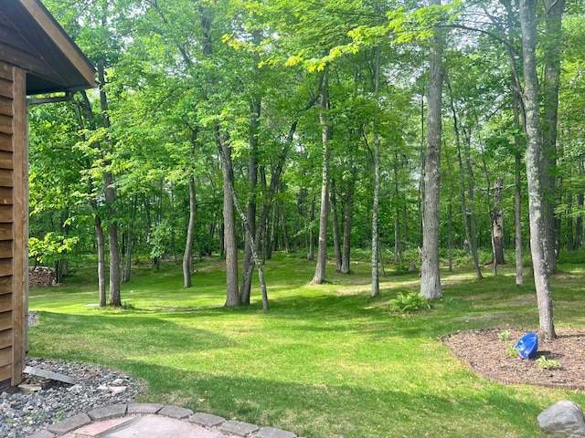10822 Steamboat Loop NW, Walker, MN 56484 - view of green lawn
