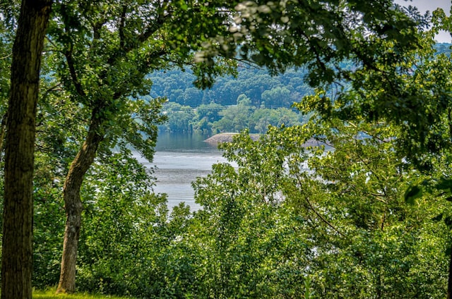 210 Sommers Landing Rd N, North Hudson, WI 54016 - photo 24