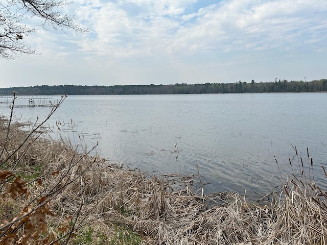 54966 Rainbow Rd, Sand Lake Twp, MN 56636 - water view with a heavily wooded area