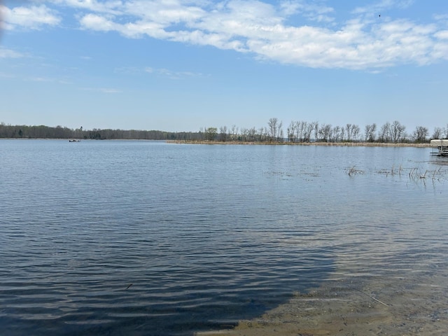 54966 Rainbow Rd, Sand Lake Twp, MN 56636 - water view