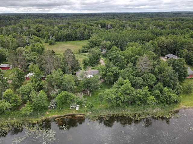 54966 Rainbow Rd, Sand Lake Twp, MN 56636 - drone / aerial view of a heavily wooded area and a large body of water