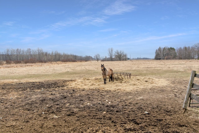 view of yard with a rural view