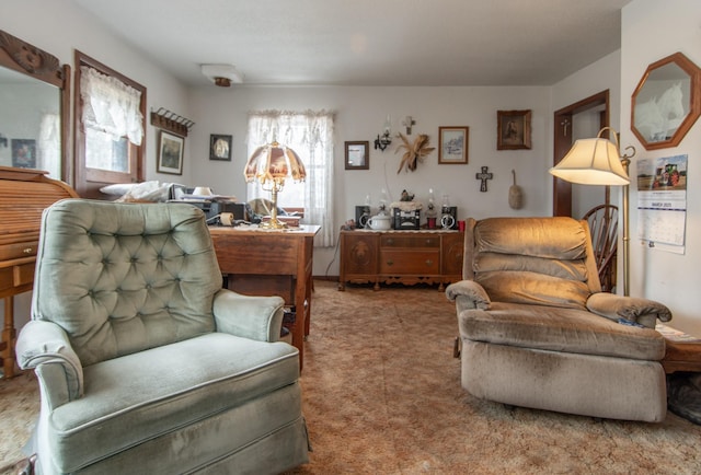 sitting room with carpet