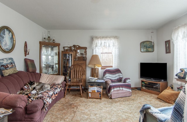 living room featuring carpet floors