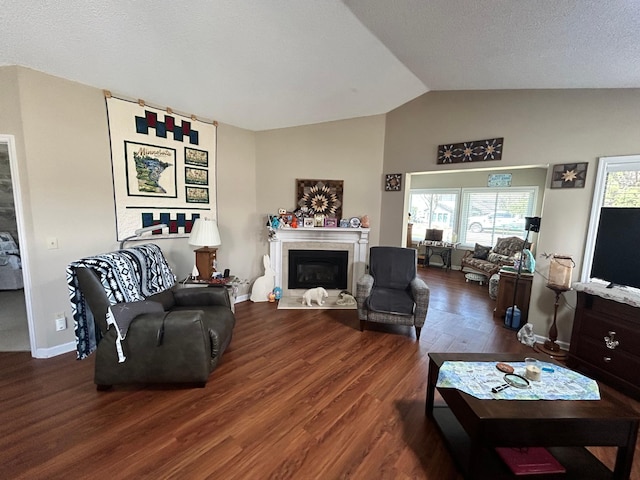 2548 Sumac Rdg, White Bear Lake, MN 55110 - living area featuring a glass covered fireplace, lofted ceiling, dark wood-style floors, and a healthy amount of sunlight