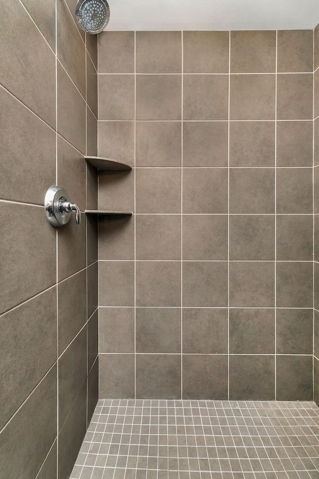 1408 72nd Ave S, Fargo, ND 58104 - full bath with a tile shower
