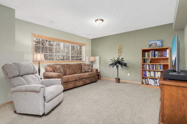 13775 54th Ave N, Plymouth, MN 55446 - living room with carpet and a textured ceiling