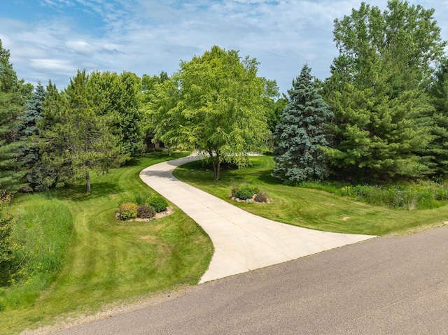14810 42nd St S, Afton, MN 55001 - photo 86