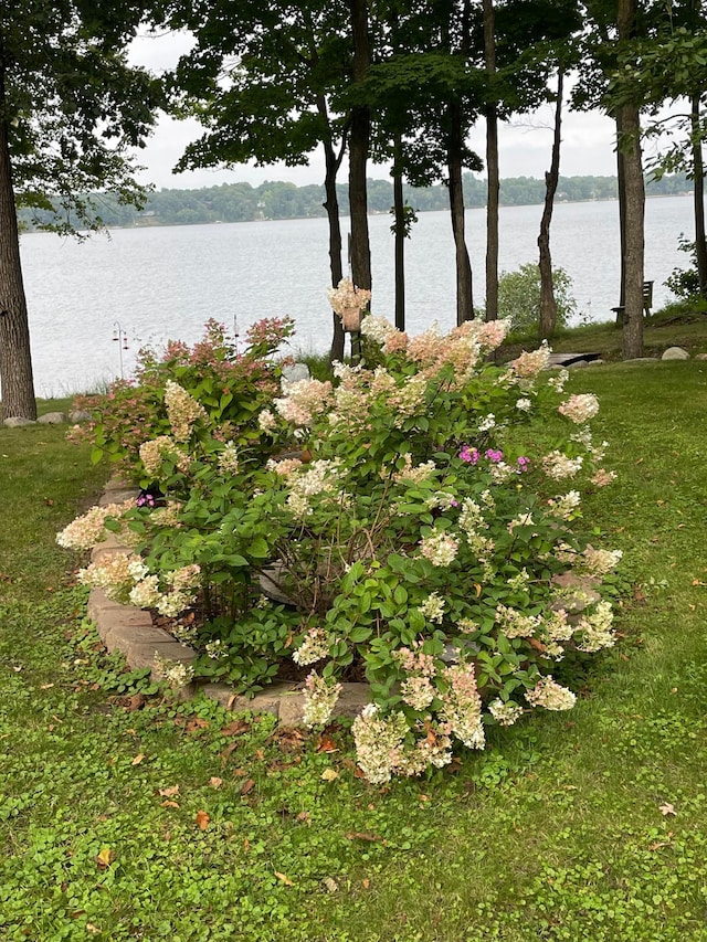 property view of water