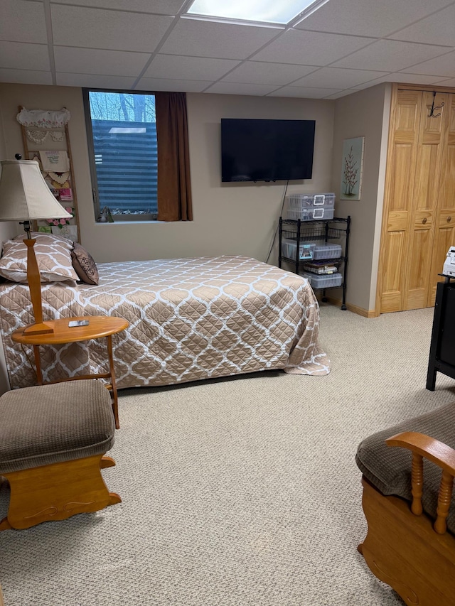 carpeted bedroom featuring baseboards, a closet, and a paneled ceiling